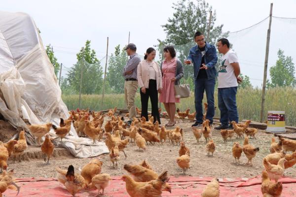 https://imagepphcloud.thepaper.cn/pph/image/68/217/366.jpg